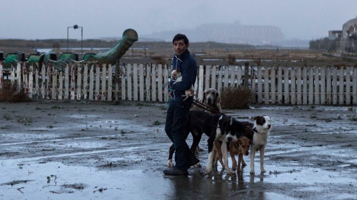 DOGMAN