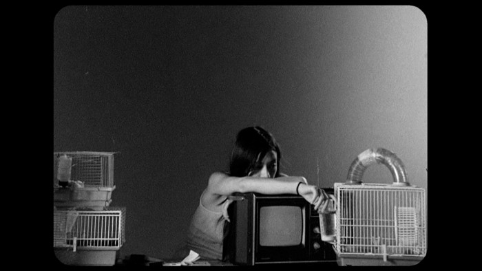 LETTERS TO PAUL MORRISSEY