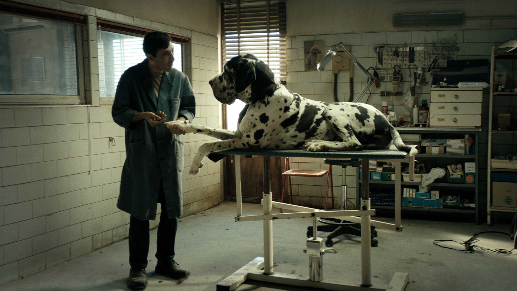 We Present Films from the Programme FEST 47